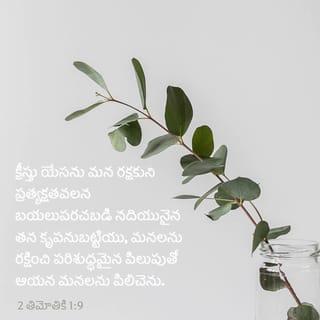 2 Timothy 1:9 NCV