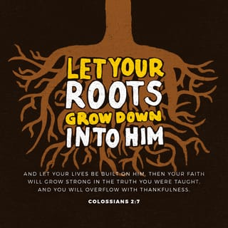 Colossians 2:6-7 - As ye have therefore received Christ Jesus the Lord, so walk ye in him: rooted and built up in him, and stablished in the faith, as ye have been taught, abounding therein with thanksgiving.