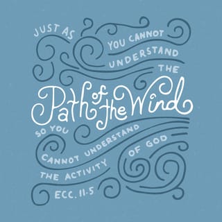 Ecclesiastes 11:4-6 - Whoever watches the wind will not plant;
whoever looks at the clouds will not reap.

As you do not know the path of the wind,
or how the body is formed in a mother’s womb,
so you cannot understand the work of God,
the Maker of all things.

Sow your seed in the morning,
and at evening let your hands not be idle,
for you do not know which will succeed,
whether this or that,
or whether both will do equally well.