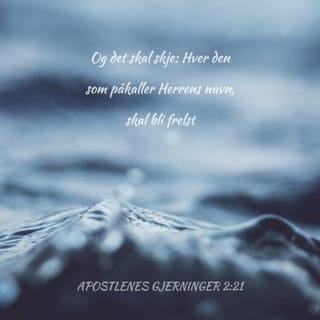 Apostlenes gjerninger 2:21 - Hver og en som tilber Herren skal bli frelst.’