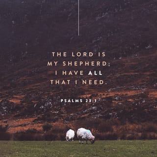 Psalms 23:1 - The LORD is my shepherd;
I have everything I need.
