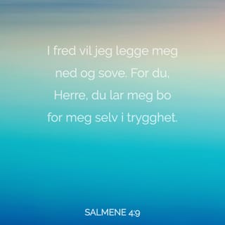 Salmene 4:8 NB