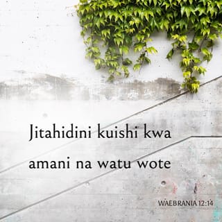 Waebrania 12:14 BHN