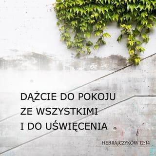 Hebrajczyków 12:14 SNP