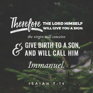 Isaiah 7:13-17 - So Isaiah told him, “Then listen to this, government of David! It’s bad enough that you make people tired with your pious, timid hypocrisies, but now you’re making God tired. So the Master is going to give you a sign anyway. Watch for this: A girl who is presently a virgin will get pregnant. She’ll bear a son and name him Immanuel (God-With-Us). By the time the child is twelve years old, able to make moral decisions, the threat of war will be over. Relax, those two kings that have you so worried will be out of the picture. But also be warned: GOD will bring on you and your people and your government a judgment worse than anything since the time the kingdom split, when Ephraim left Judah. The king of Assyria is coming!”