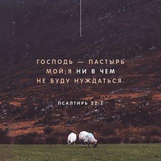 Psalmul 23:2-3 - El mă paște în pășuni verzi
și mă duce la ape de odihnă;
îmi înviorează sufletul
și mă povățuiește pe cărări drepte
din pricina Numelui Său.