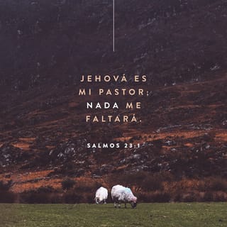 Salmos 23:1-2 - Jehová es mi pastor; nada me faltará.
En lugares de delicados pastos me hará descansar;
Junto a aguas de reposo me pastoreará.