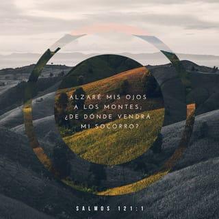 Salmos 121:1 - Levanto la vista hacia las montañas;
¿viene de allí mi ayuda?