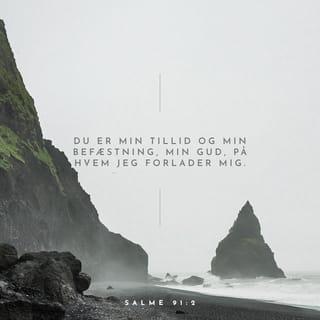 Salmernes Bog 91:2 BPH