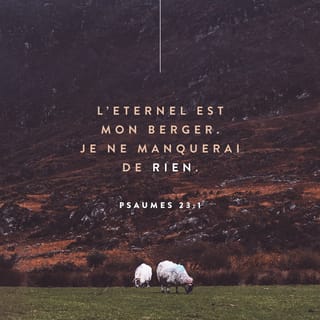 Psaumes 23:1 - Le SEIGNEUR est mon berger,
je ne manque de rien.