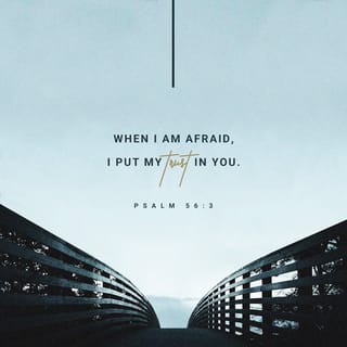 Psalms 56:3-9 - When I am afraid, I put my trust in you.
In God, whose word I praise—
in God I trust and am not afraid.
What can mere mortals do to me?

All day long they twist my words;
all their schemes are for my ruin.
They conspire, they lurk,
they watch my steps,
hoping to take my life.
Because of their wickedness do not let them escape;
in your anger, God, bring the nations down.

Record my misery;
list my tears on your scroll—
are they not in your record?
Then my enemies will turn back
when I call for help.
By this I will know that God is for me.