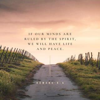 Romans 8:6 - For to be carnally minded is death; but to be spiritually minded is life and peace.
