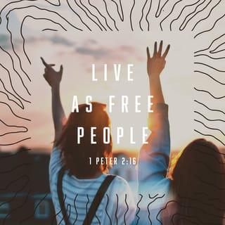1 Peter 2:16 - Live as free people, but don’t hide behind your freedom when you do evil. Instead, use your freedom to serve God.