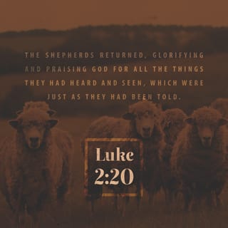 Luke (Luk) 2:20 - Meanwhile, the shepherds returned, glorifying and praising God for everything they had heard and seen; it had been just as they had been told.