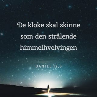 Daniel 12:3 - Da skal de forstandige skinne som himmelhvelvingen skinner, og de som har ført mange til rettferdighet, skal skinne som stjernene, evig og alltid.