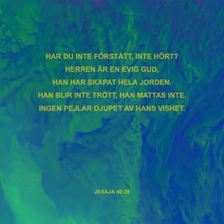 Jesaja 40:28 B2000