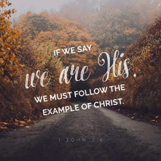 1 John 2:4-6 - Whoever says, “I know him,” but does not do what he commands is a liar, and the truth is not in that person. But if anyone obeys his word, love for God is truly made complete in them. This is how we know we are in him: Whoever claims to live in him must live as Jesus did.