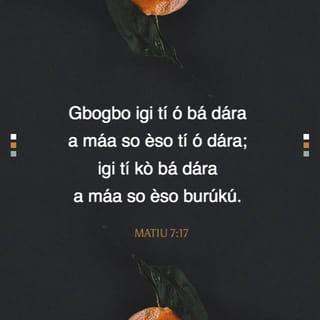 MATIU 7:17 - Bẹ́ẹ̀ gan-an ni: gbogbo igi tí ó bá dára a máa so èso tí ó dára; igi tí kò bá dára a máa so èso burúkú.
