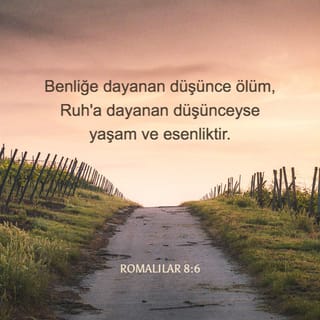 ROMALILAR 8:6 TCL02