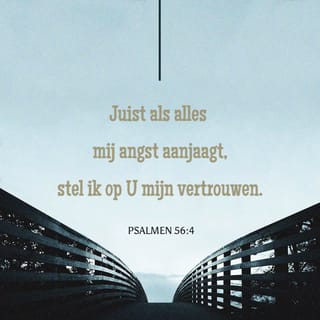 Psalmen 56:3 HTB