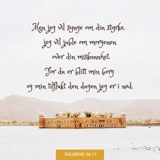 Salmene 59:16 - Men jeg vil synge om din styrke, og jeg vil juble om morgenen over din miskunnhet; for du er min borg og min tilflukt den dag jeg er i nød.