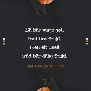 MATTEUSEVANGELIET 7:17 - Så bär varje bra träd bra frukt, men ett dåligt träd bär dålig frukt.