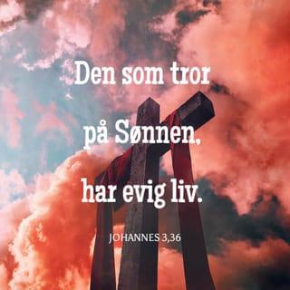 Johannes 3:36 - Den som tror på Sønnen, har evig liv. Den som er ulydig mot Sønnen, skal ikke se livet, men Guds vrede er og blir over ham.»