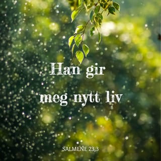 Salmene 23:2-3 - Han lar meg ligge i grønne enger, han leder meg til hvilens vann. Han fornyer min sjel, han fører meg på rettferdighets stier for sitt navns skyld.