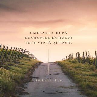 Romani 8:6 VDC