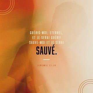 Jérémie 17:14 - Guéris-moi, Éternel! et je serai guéri; sauve-moi, et je serai sauvé; car c'est toi qui es ma louange!