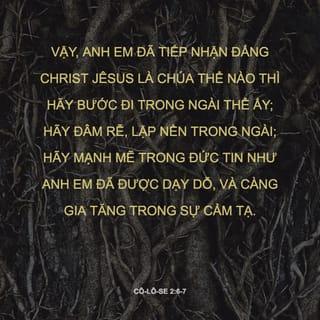 Cô-lô-se 2:6-7 VIE1925
