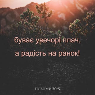 Псалми 30:5 - Бо на хвилину гнїв його; ласка ж його поки життя; посилає на ніч сльози, а досьвіта радість.