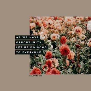 Galatians 6:10 - Therefore, whenever we have the opportunity, we should do good to everyone—especially to those in the family of faith.