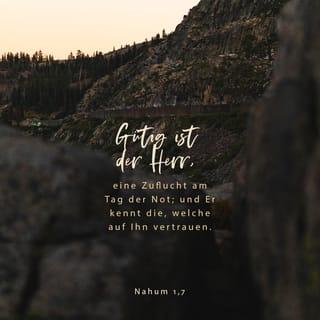 Nahum 1:7 - Gütig ist der HERR, eine Zuflucht am Tag der Not; und er kennt die, welche auf ihn vertrauen.
