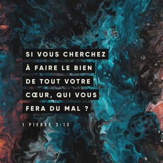 1 Pierre 3:13 PDV2017