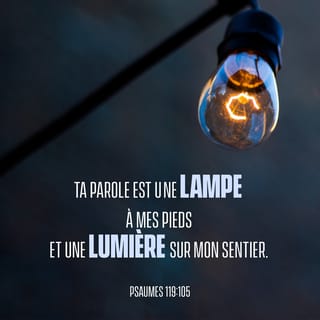 Psaumes 119:105 - Ta parole est une lampe devant mes pas,
une lumière qui éclaire mon sentier.