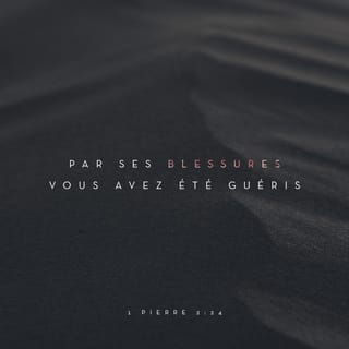 1 Pierre 2:24-25 PDV2017