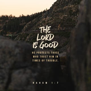 Nahum 1:7 - The LORD is good;
he protects his people in times of trouble;
he takes care of those who turn to him.
