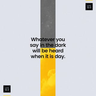 Luke 12:3 - Whatever you have said in the dark will be heard in the daylight. Whatever you have whispered in private rooms will be shouted from the housetops.