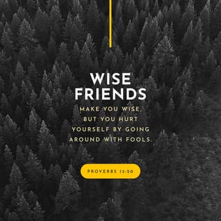 Proverbs 13:20 - Wise friends make you wise,
but you hurt yourself
by going around with fools.
