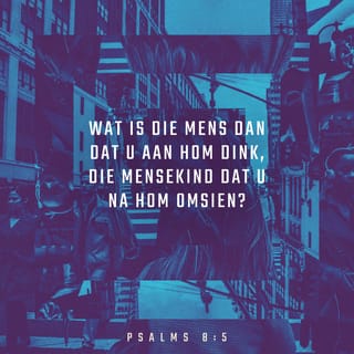 PSALMS 8:3 AFR83