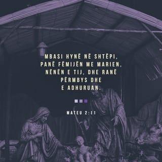 Mateu 2:10 ALBB