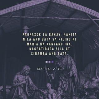 Mateo 2:11 RTPV05
