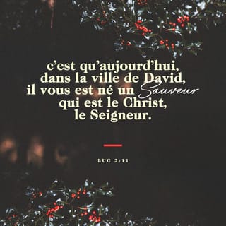 Luc 2:11 - c'est qu'aujourd'hui, dans la ville de David, il vous est né un Sauveur, qui est le Christ, le Seigneur.