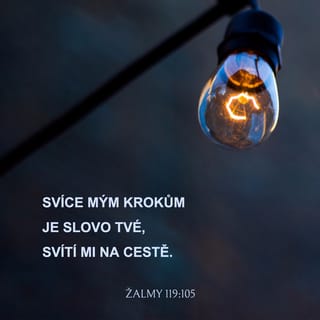 Žalmy 119:105 - Tvé slovo je lampou pro mé nohy, je světlem na mé stezce.