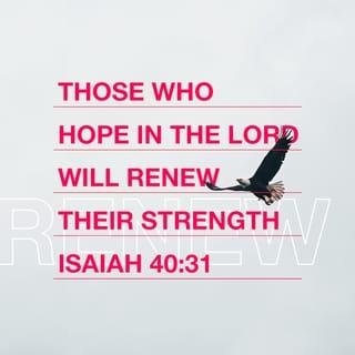 Isaiah 40:31 - But those who wait for Yahweh shall renew their strength.
They shall go up with wings like eagles;
they shall run and not grow weary;
they shall walk and not be faint.