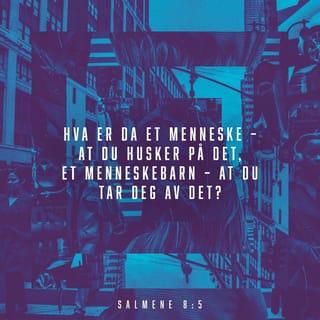 Salmene 8:3 NB