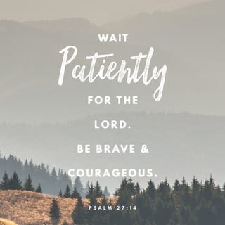 Psalms 27:14 - Wait for the LORD.
Be strong, and let your heart take courage.
Yes, wait for the LORD.