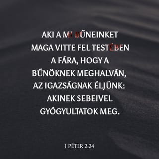 1 Péter 2:24-25 HUNK