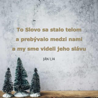 Ján 1:14 SEBDT